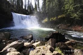 Shasta - Trinity National Forest