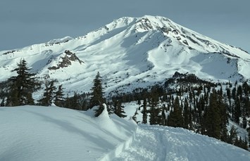 Mount Shasta City KOA Holiday Photo