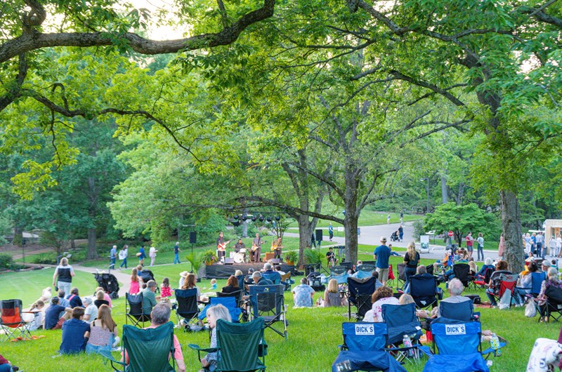 Live Music- Shasta Mountain Music Series Photo
