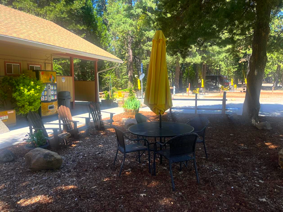 Welcome to the Mount Shasta City KOA Holiday