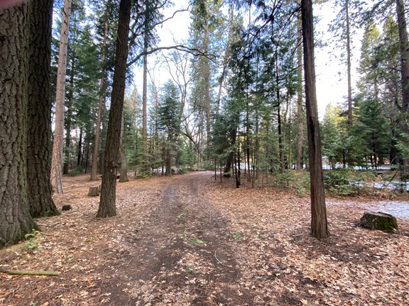 entrance road