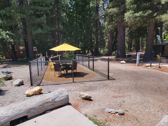 Welcome to the Mount Shasta City KOA Holiday