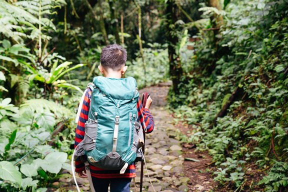 Nearby National Forest Trails