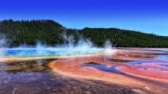 Great American Tours