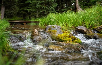 Yellowstone Park / Mountainside KOA Journey Photo