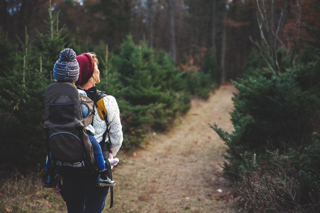Things to do Outside of Yellowstone