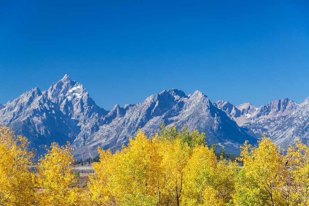 Unveiling the Fall Splendor of Yellowstone Park