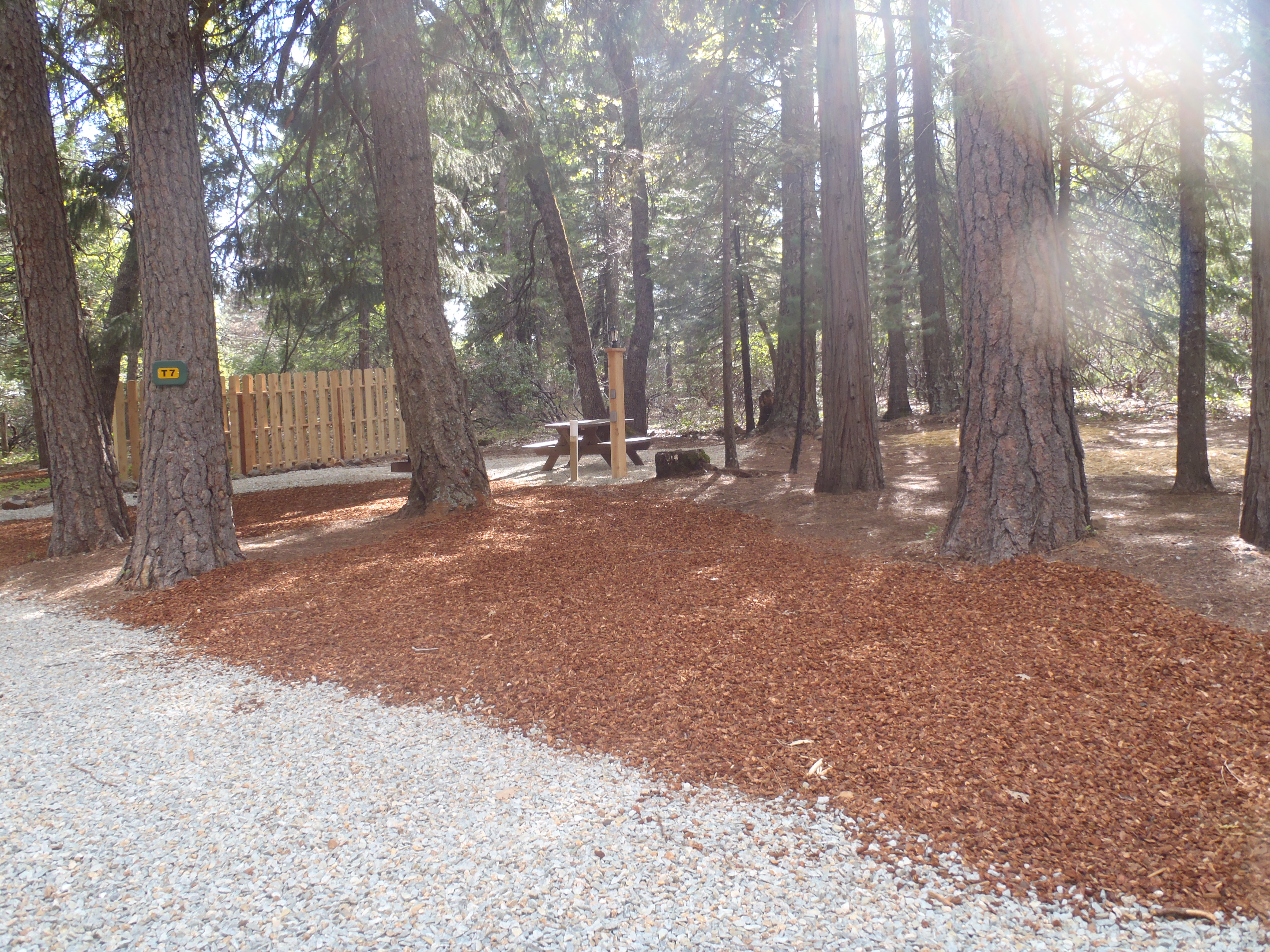 Tent Site 7