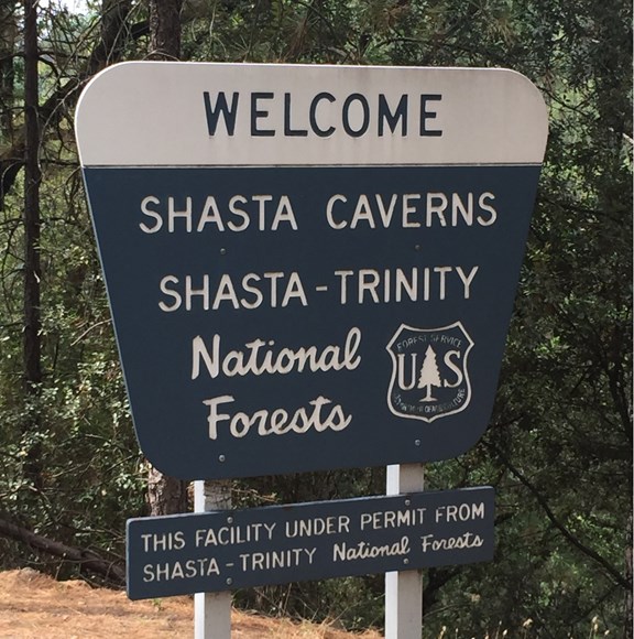 Shasta Caverns