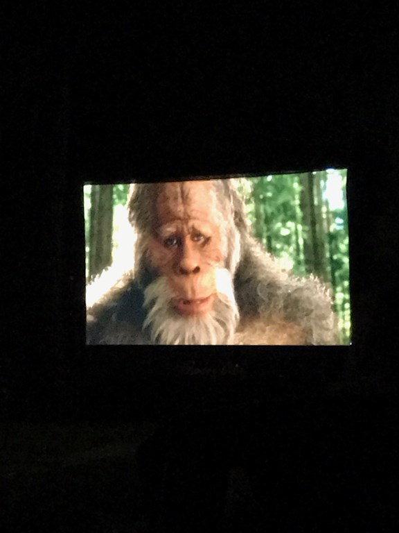 Our last movie night 9/2017