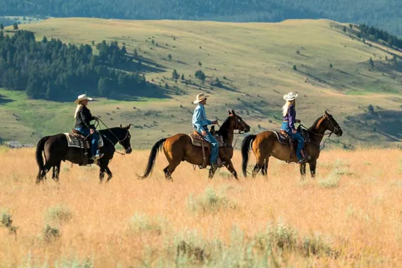 Horseback Riding
