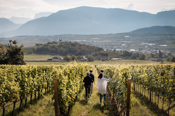 Local Wineries