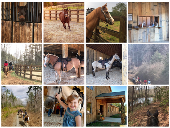 Appalachian Trail Rides – Horseback Riding at S&T Stables
