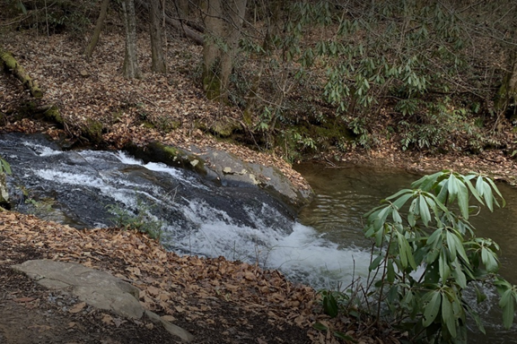 Piney Knob Trail System