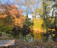 Fall on the River