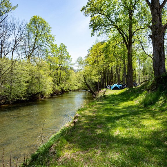 Campground Sights