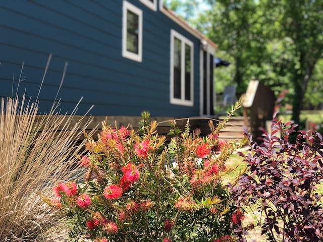 Deluxe Cabin Water Front (Flowers)