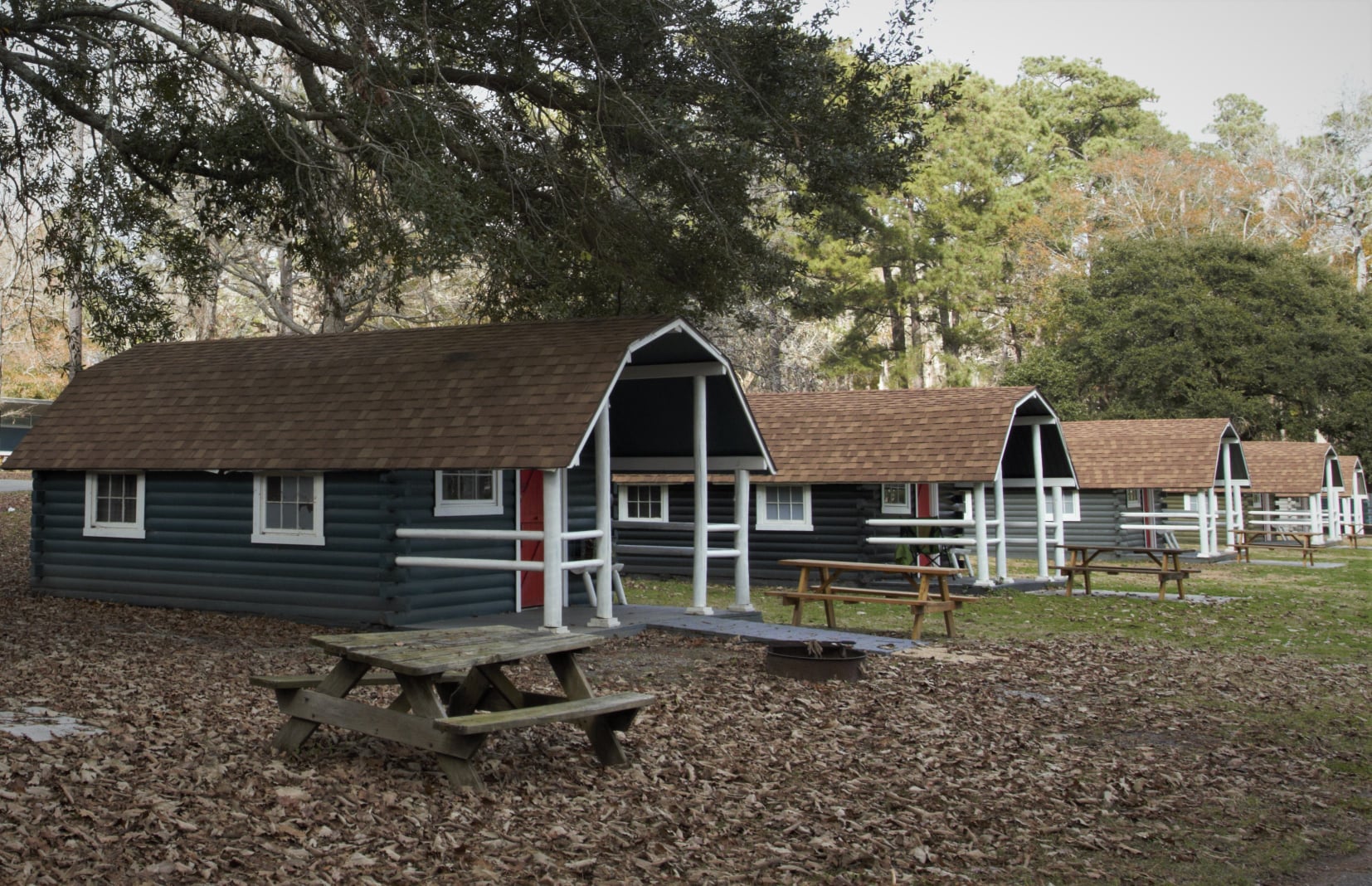 Rustic Cabin 1 Room