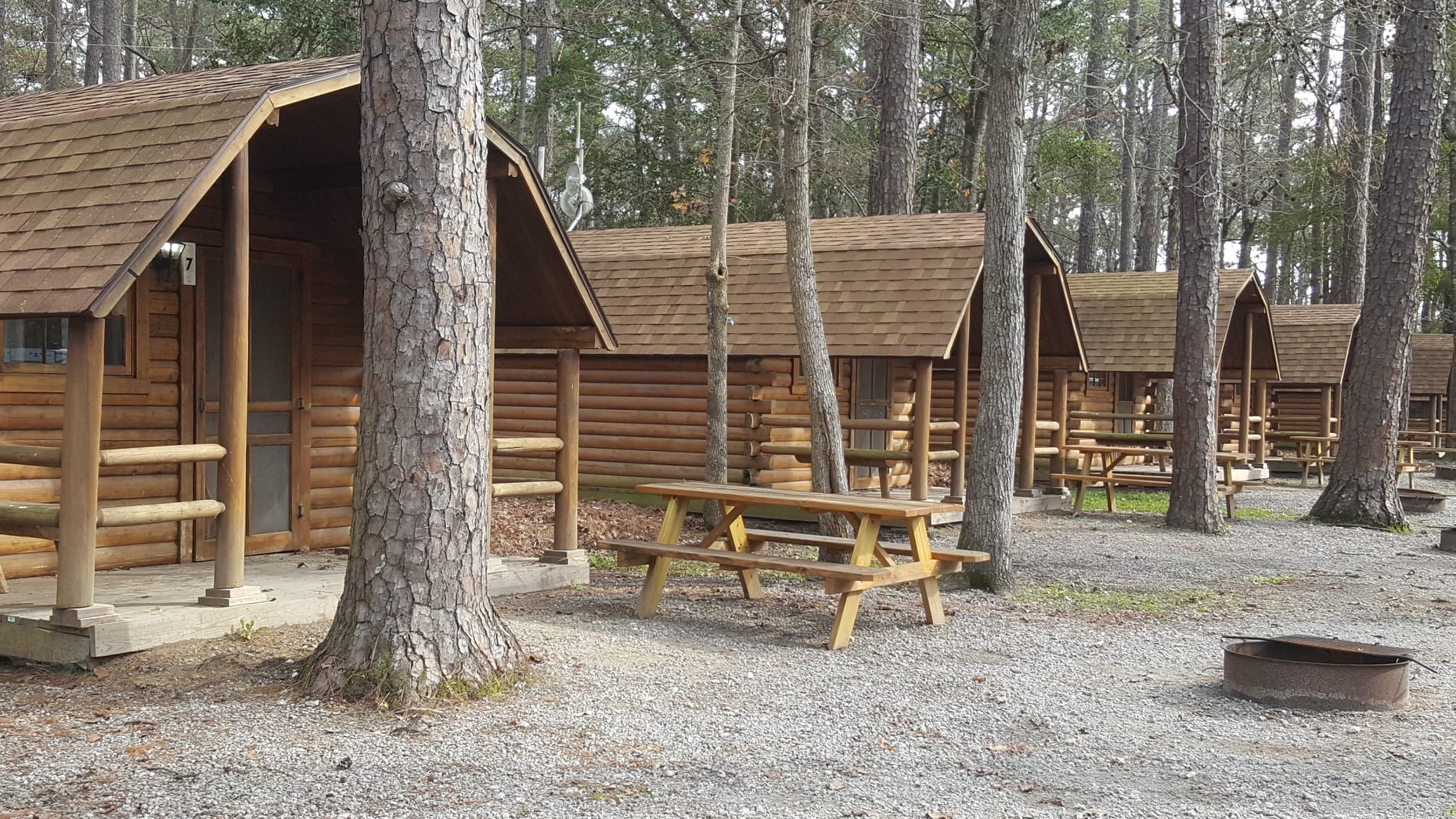 Rustic Cabin 1 Room