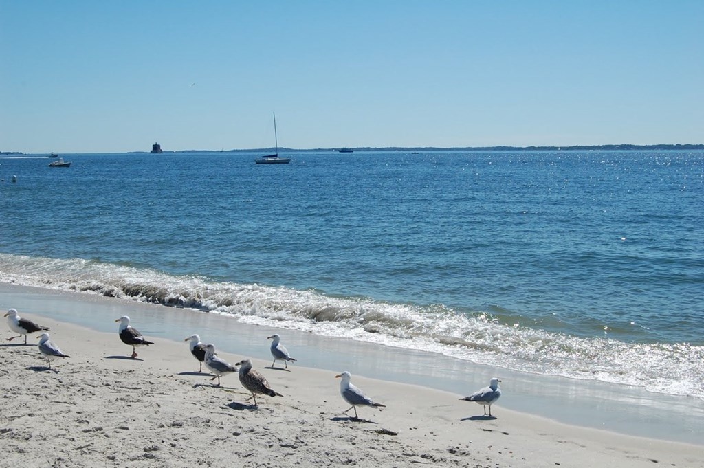 Four Best Beaches in Mystic