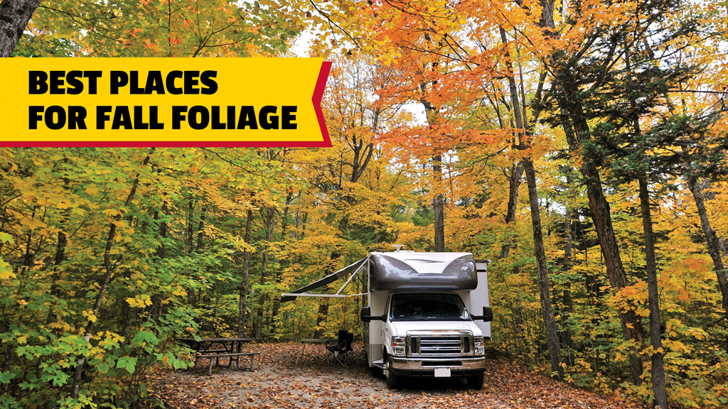 Where & When to See Fall Foliage in 2025