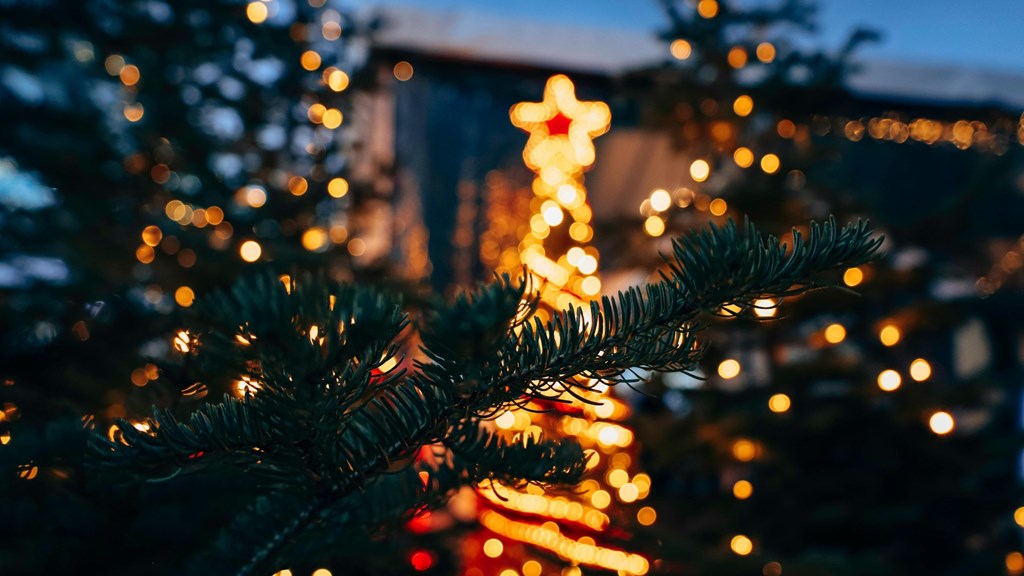 2025 Holiday Lights by Mystic Holiday Light Show