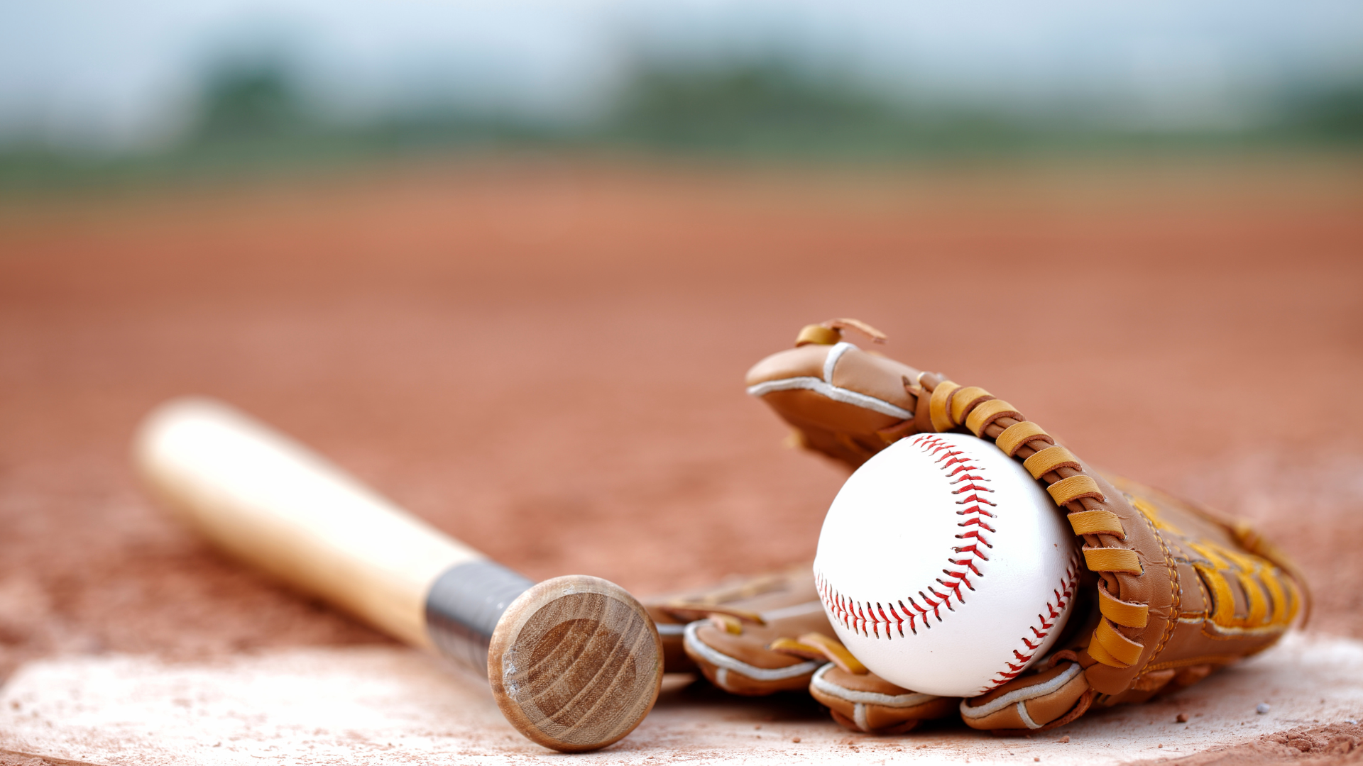 Family Friendly Baseball Photo
