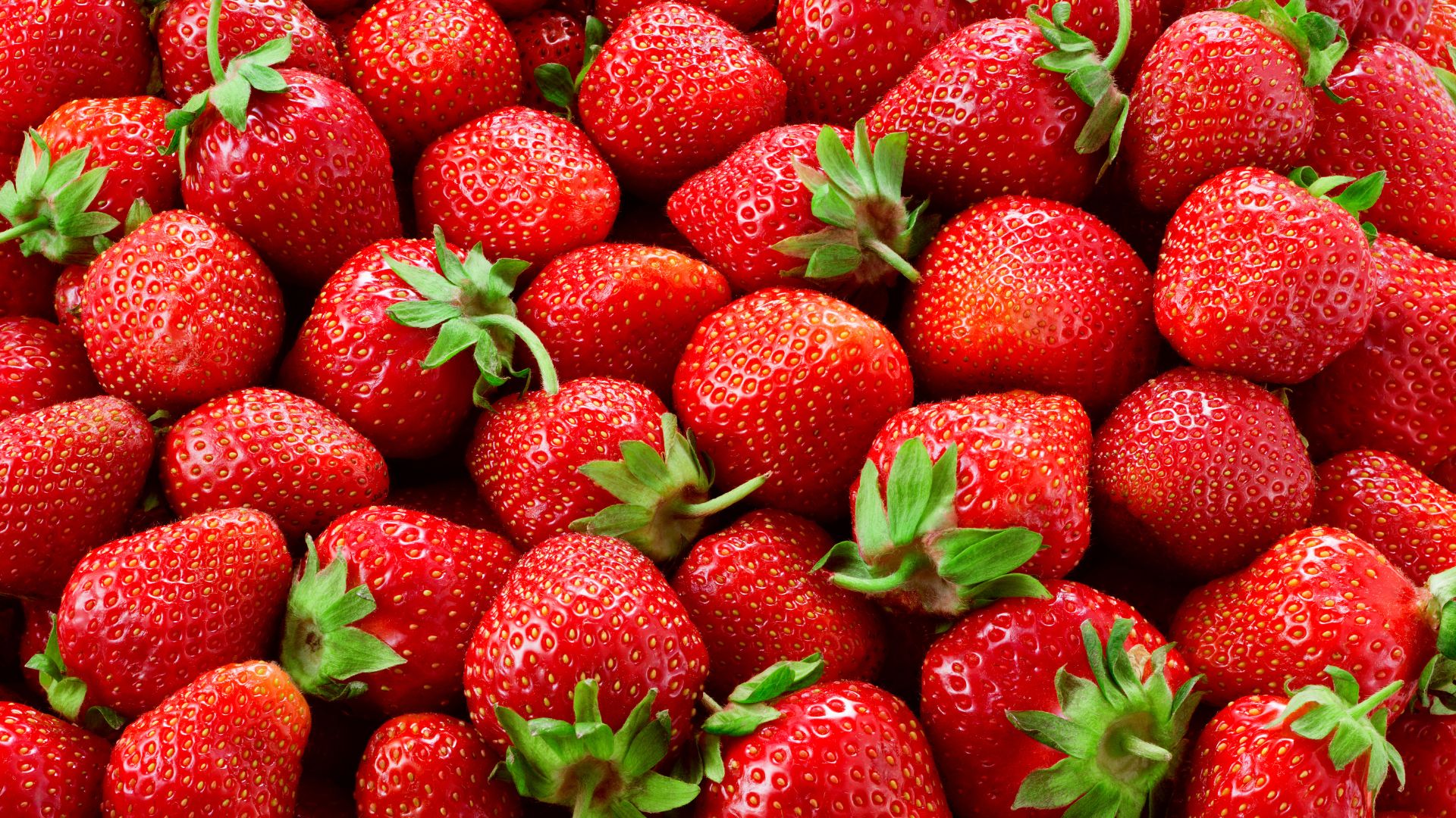 Olde Mistick Strawberry Festival Photo