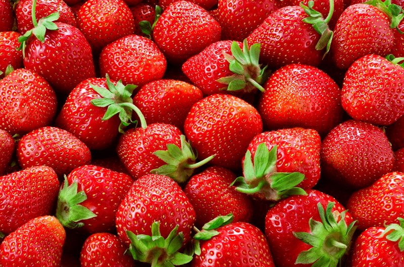 Olde Mistick Strawberry Festival Photo