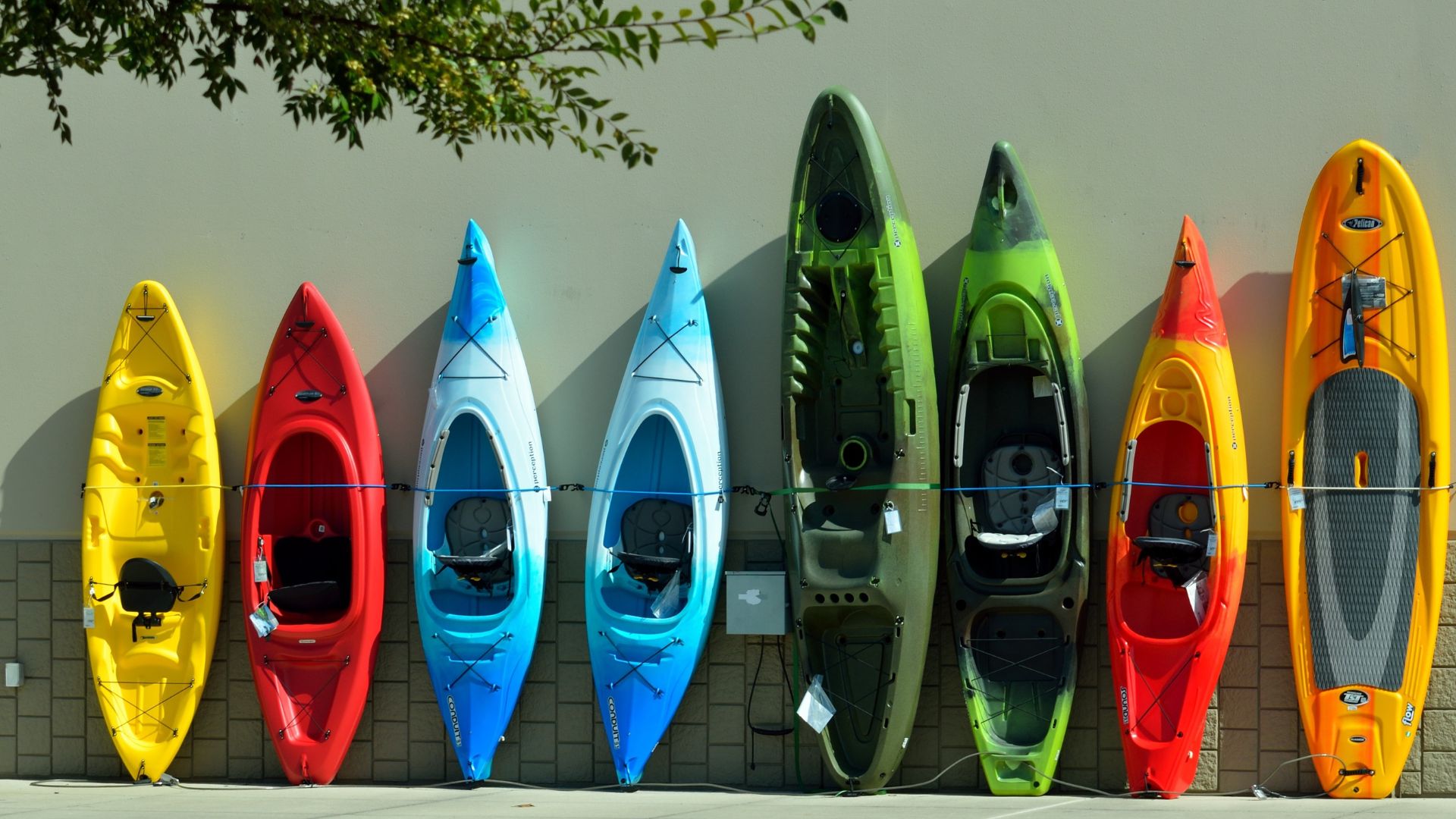 FloatSwella Photo