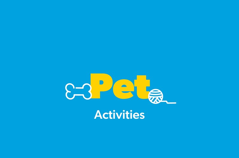 Pet Weekend Photo