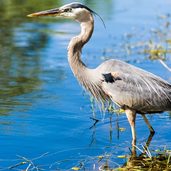 Everglades National Park
