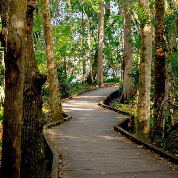 Hike Florida