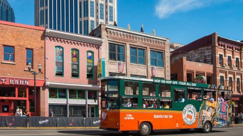 Hop On, Hop Off Trolly Tours