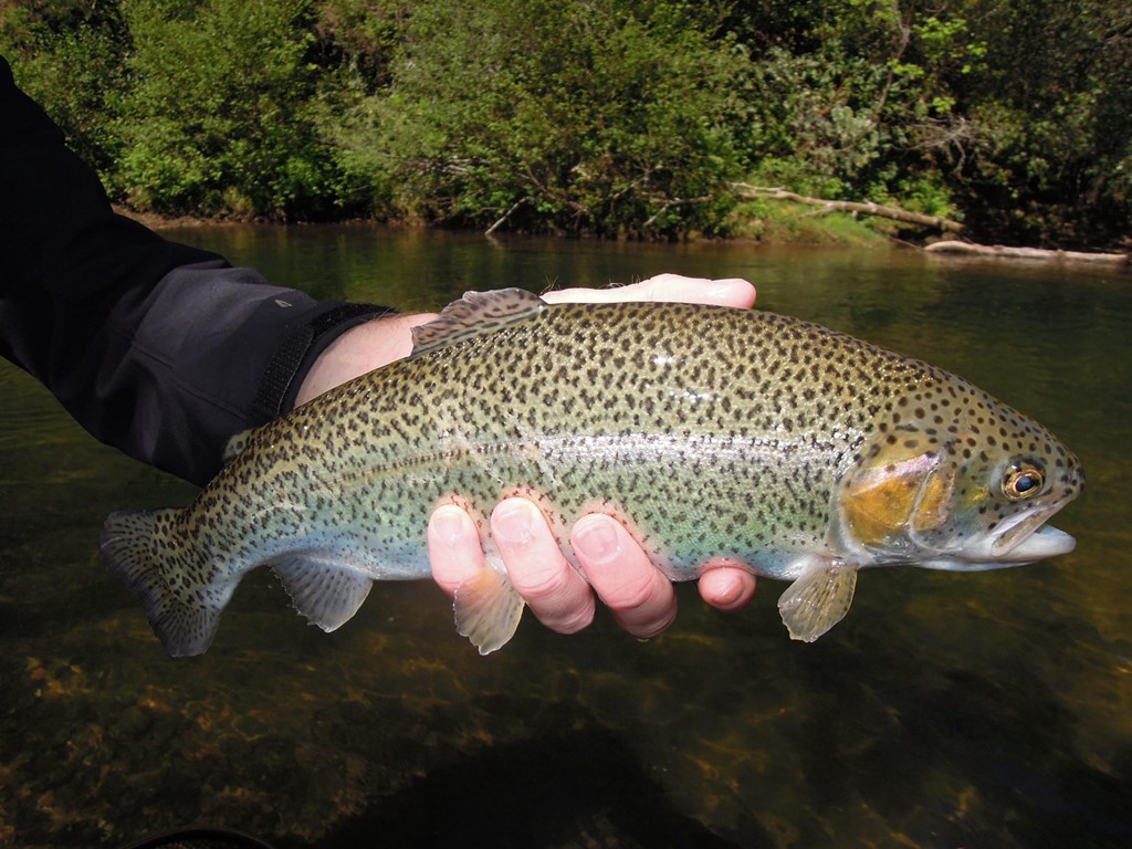 Fishing & Boating Near Nashville East KOA
