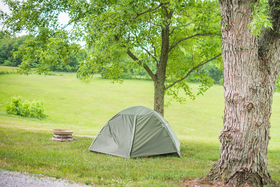 Grassy primitive tenting spots