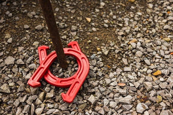 Horseshoes