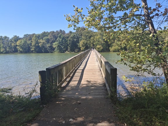 Guided Hikes