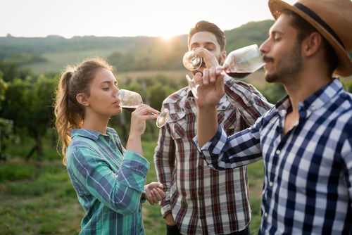Plan a Bachelor/Bachelorette Trip to Nashville KOA Resort