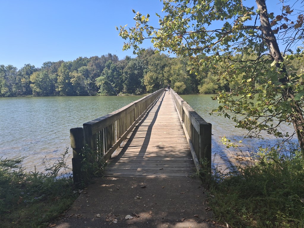 Nashville's Best Swimming Holes