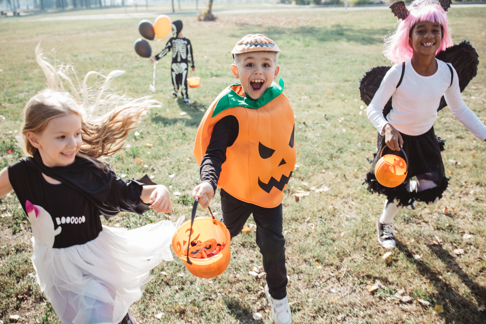 Halloween Week 4 Photo