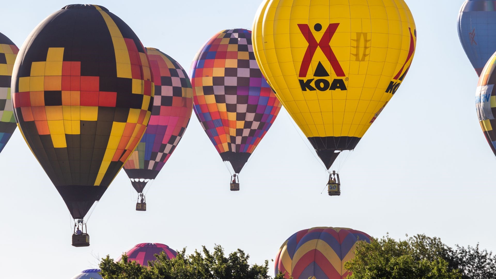 KOA Reward Week Photo