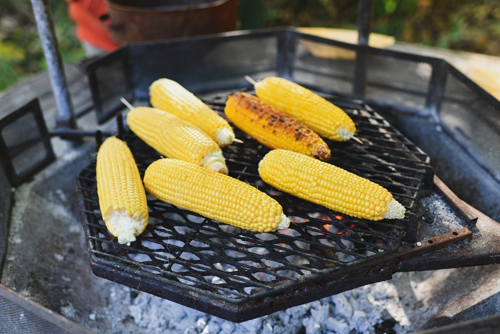 15 Awsome Recipes Campers Swear By