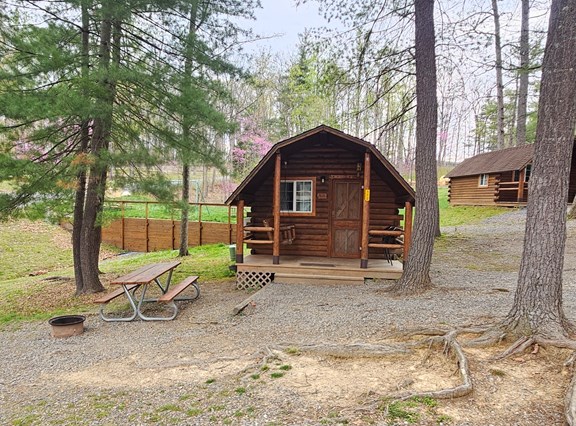 1 Room Camping Cabin