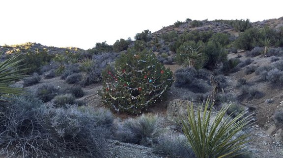 Christmas Tree Pass