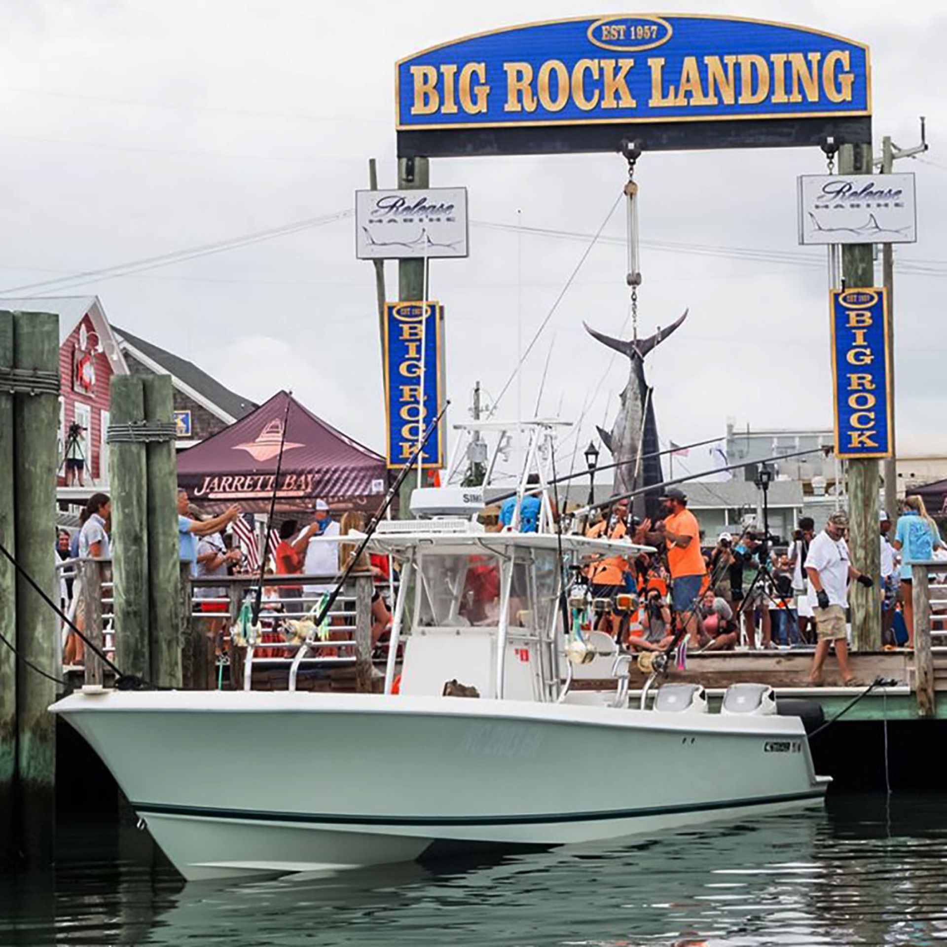 Big Rock Blue Marlin Tournament Photo