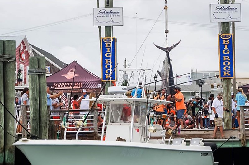 Big Rock Blue Marlin Tournament Photo