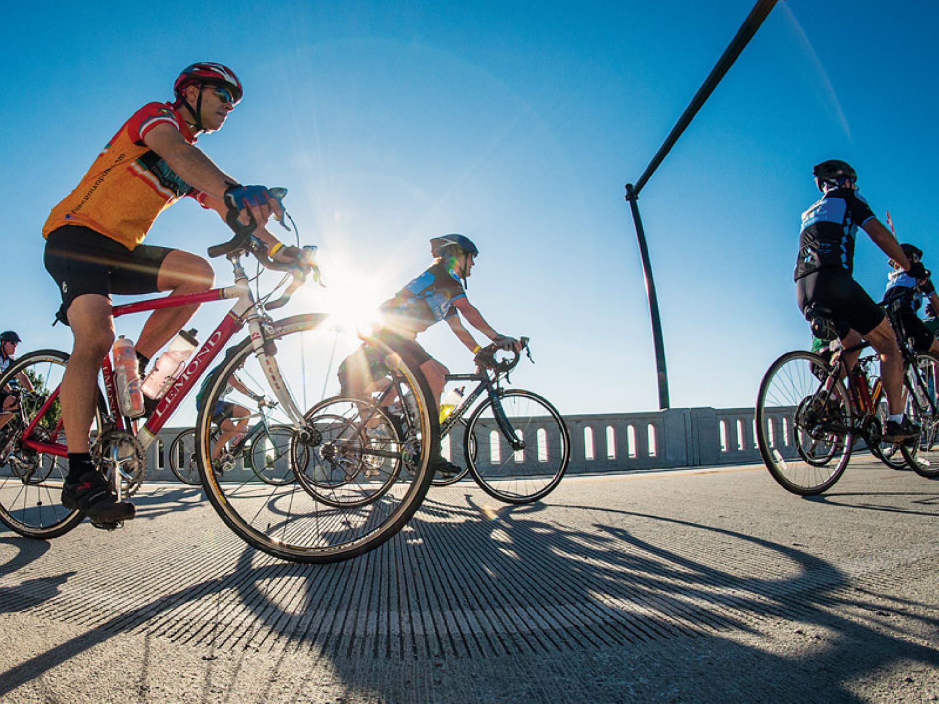 Bike MS: Historic New Bern Ride Photo