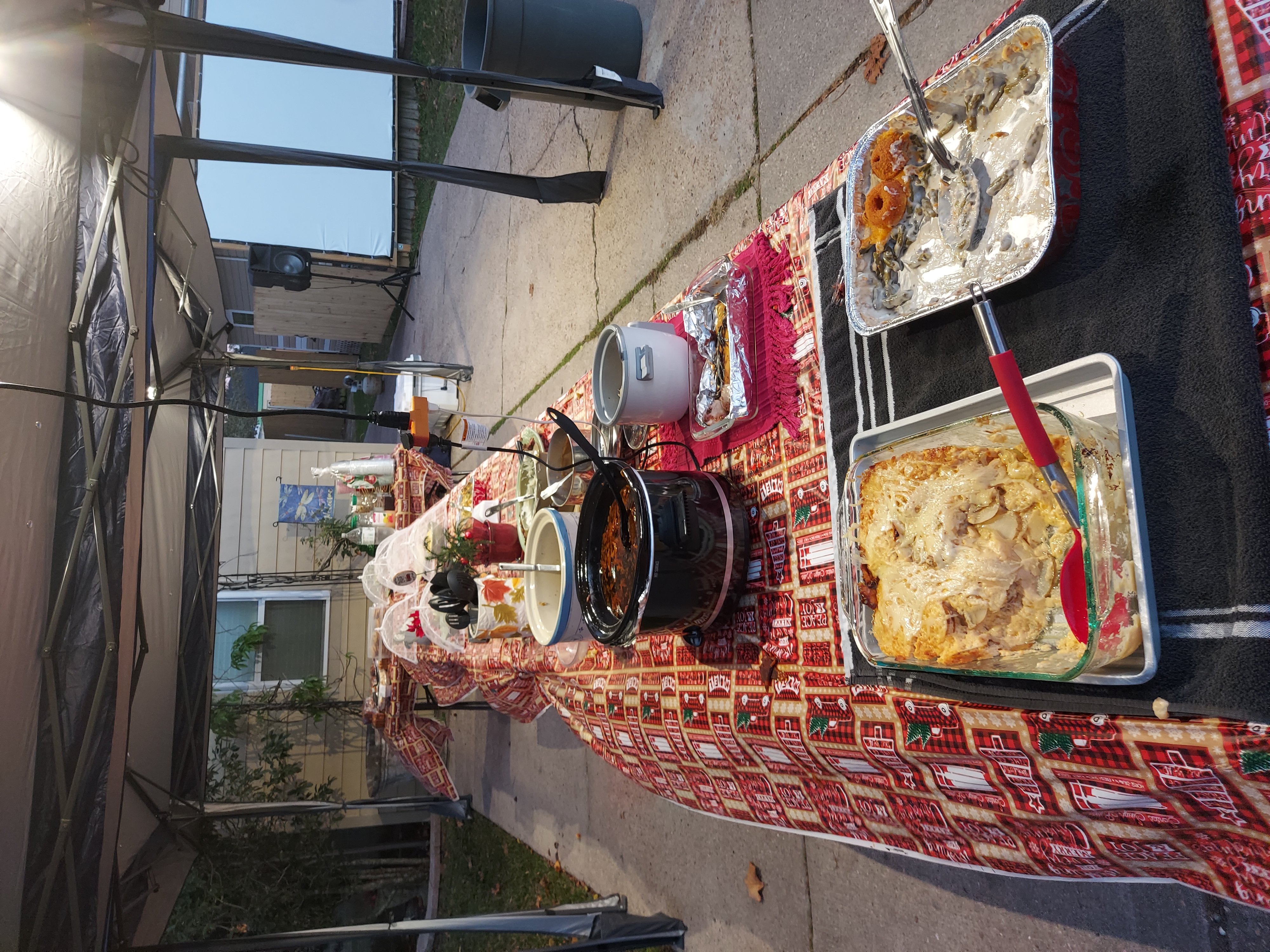 Annual Christmas Dinner & Movies on the Lawn Photo