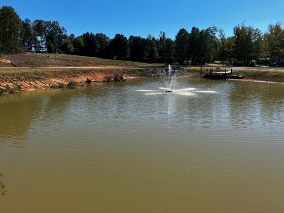 Coming Soon - Catch and Release Fishing!